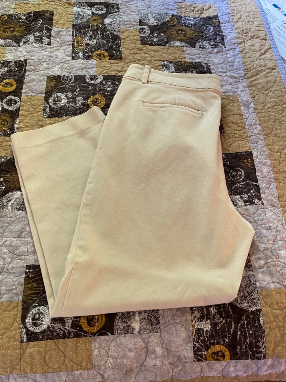Ann Taylor Loft  Capris